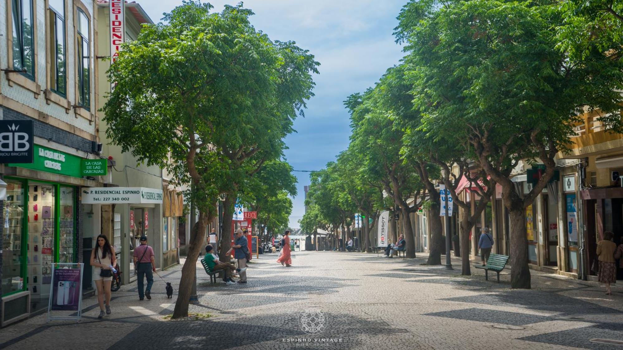 Mainstreet, Vintagegroup Apartment Espinho (Aveiro)